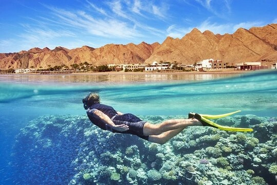 Explore the Best Dive Sites in Egypt's Red Sea